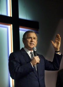 bush_with_cross